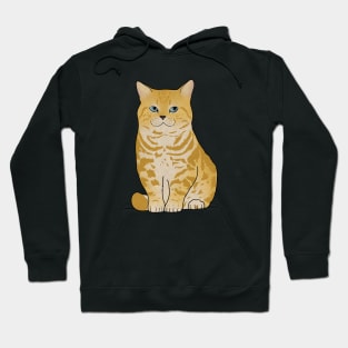 Cute Ginger Tiger Cat, Love Cats Hoodie